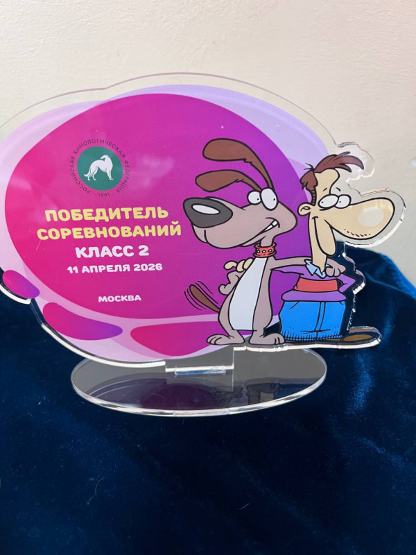 Кубок, который никто не получил