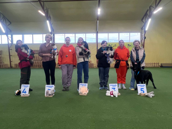 Категория МЕСТНОСТЬ