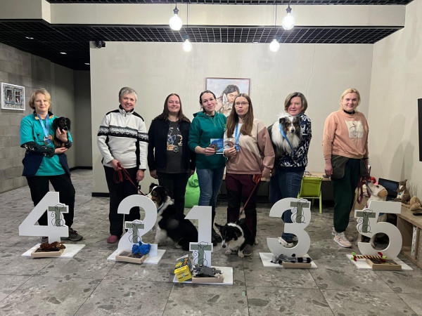 КАТЕГОРИЯ ПРЕДМЕТЫ