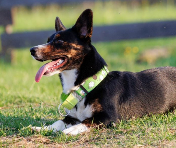 Покоритель зари Укдах Тау Гидрае