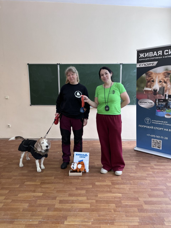 Победитель категории Помещение