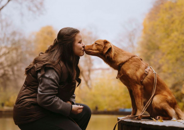 FIRE SHADOW SHCHEPOTKA SCHASTYA