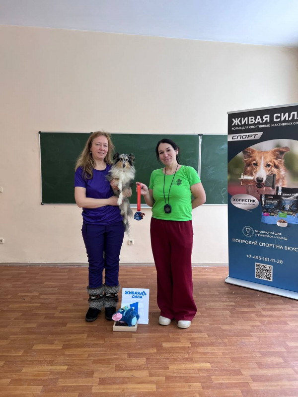 Победитель категории Предметы