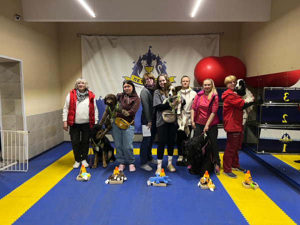 Категория МЕСТНОСТЬ