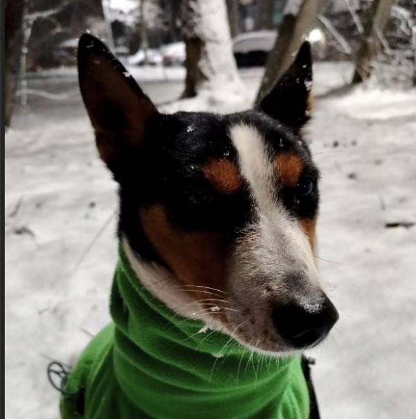 Глам Де Люкс Лоуренс