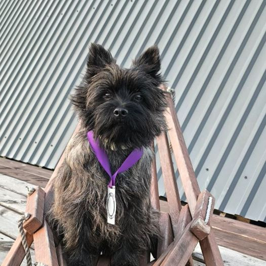 Брэнд Лайф Хаус Фаворите