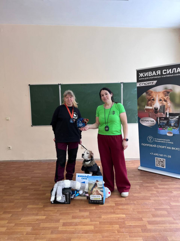 Мастер НоузВорк 3 класс 22.02.2026