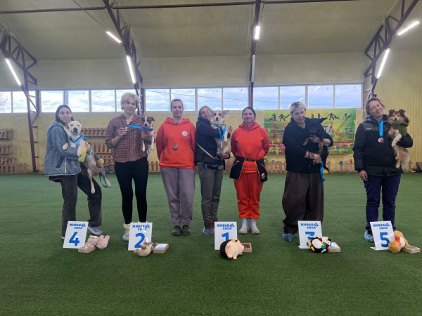 Категория ПРЕДМЕТЫ