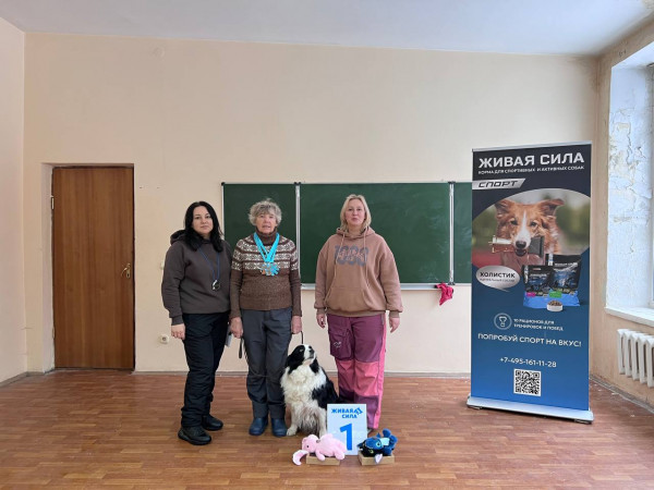 Категории Помещение и Предметы