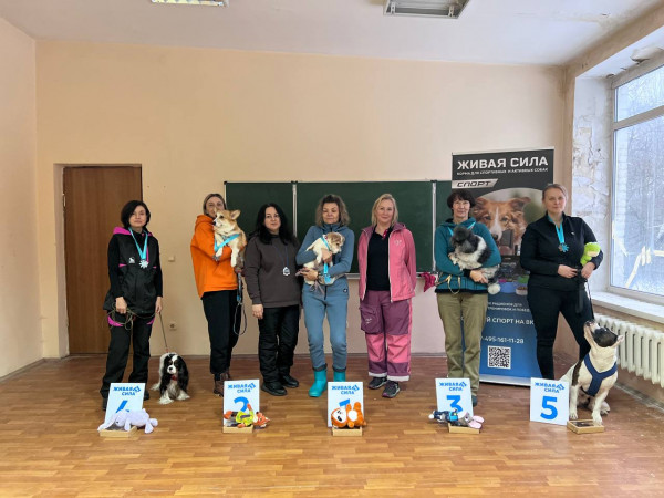 Победители категории Местность