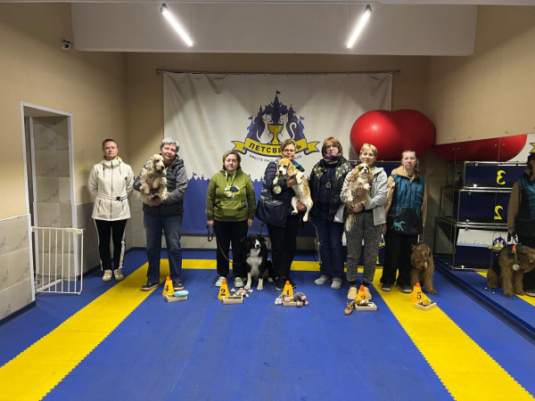 категория ПРЕДМЕТЫ