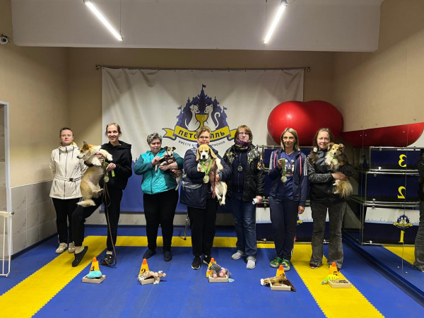 категория МЕСТНОСТЬ