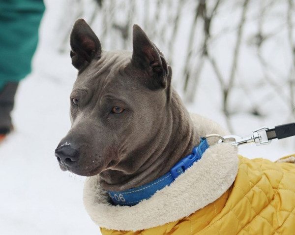 ЯР МАРИН СТАЙЛ ЗАРИНА