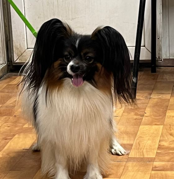 Фэшион Фёрст Кип Калм