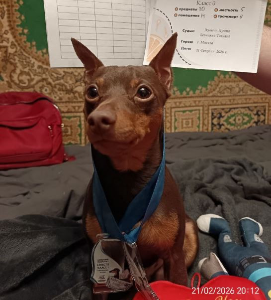 BARTHOLOMEW IZ DUDU REPUBLIC