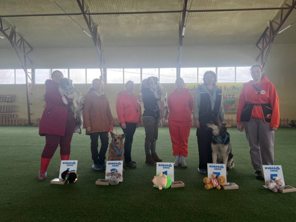 Категория ПРЕДМЕТЫ