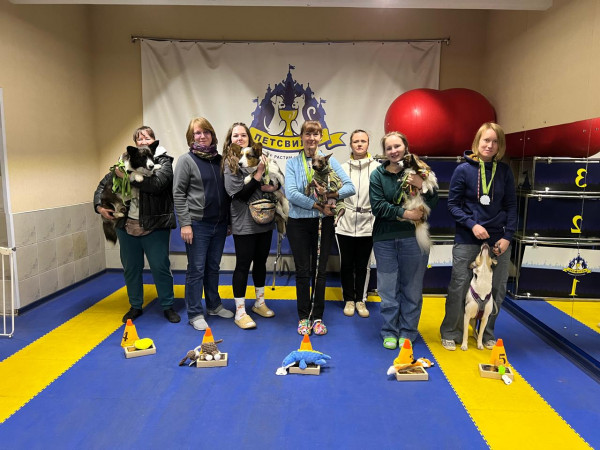 Категория ПОМЕЩЕНИЕ