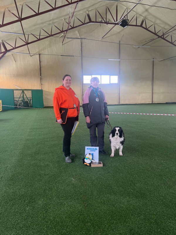 Победитель категория ПОМЕЩЕНИЕ