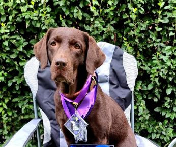 Инфинити Айс Даймонд