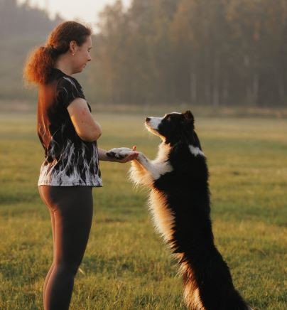 Булатникова Анастасия