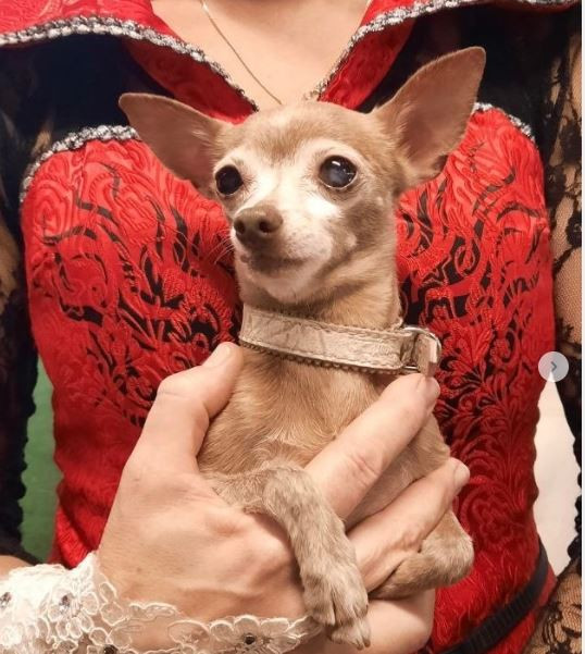 Маринет Вандерфул Старт