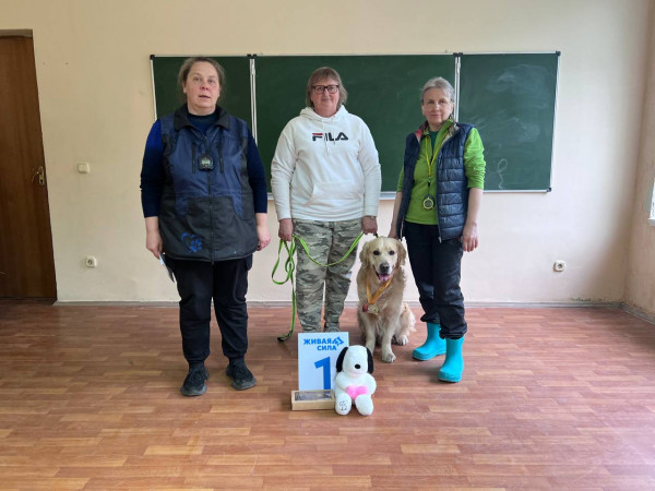 Победитель категории ПОМЕЩЕНИЕ