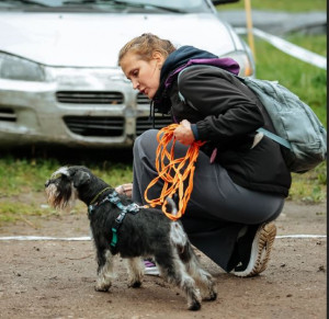 Артанина Анна