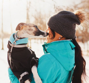 Михеева Юлия