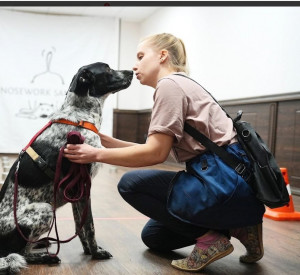 Комарова Евгения