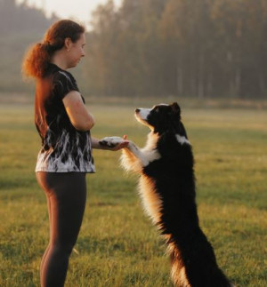 Булатникова Анастасия